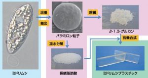 圖18. 日本產(chǎn)業(yè)技術(shù)綜合研究所、NEC公司與宮崎大學(xué)等單位聯(lián)合開(kāi)發(fā)了利用裸藻生產(chǎn)生物塑料的技術(shù)。