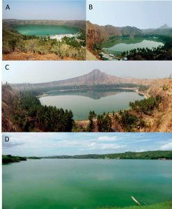 圖9.緬甸的天然螺旋藻湖泊。A．Twyn Taung火山湖，B.Twyn Ma火山湖，C. Taung Pyauk火山湖，D.Ye Kharr湖。（by Min Thein et al.）