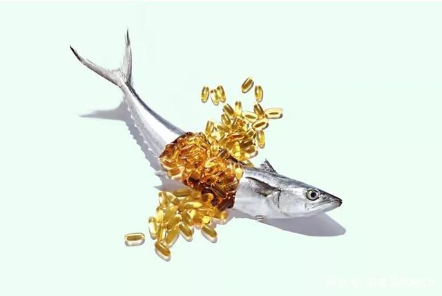 同是Omega-3來(lái)源，微藻可否替代魚(yú)類(lèi)？