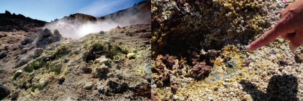 位于冰島東南部Hekla的Landmannalaugar（蘭德曼納勞卡高地），為歐洲著名的溫泉區(qū)域。該處分離得到的為G. sulphararia和G. maxima。