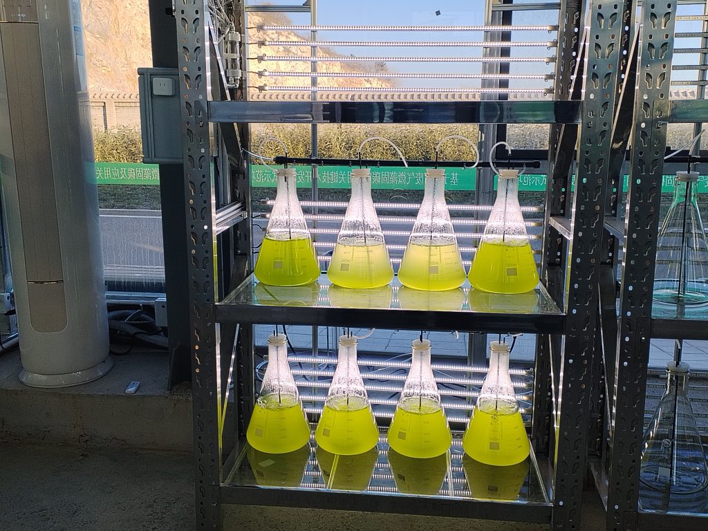 實(shí)驗(yàn)室專用！光語生物光照培養(yǎng)架GY-23PYJ-04